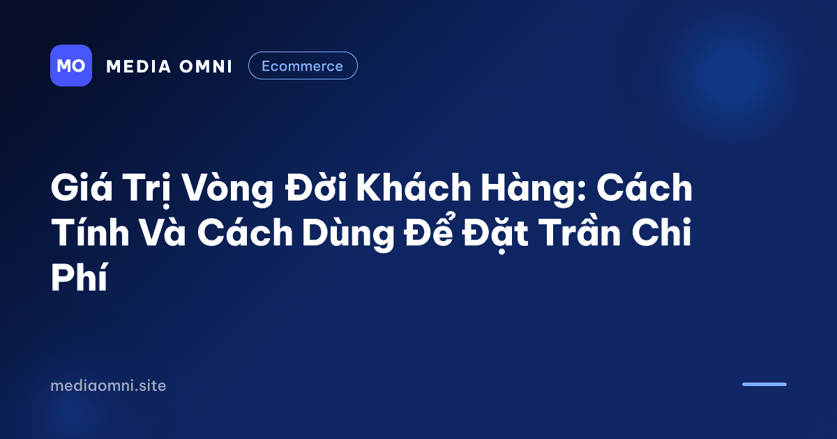 Giá Trị Vòng Đời Khách Hàng: Cách Tính Và Cách Dùng Để Đặt Trần Chi Phí — Media Omni